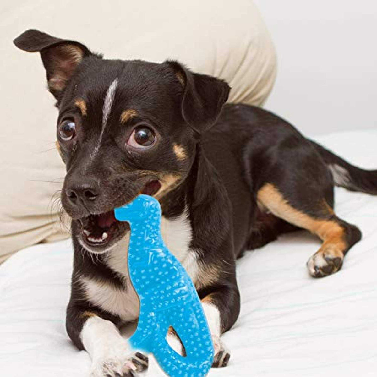 Dental Puppy Chew Toy E63329
