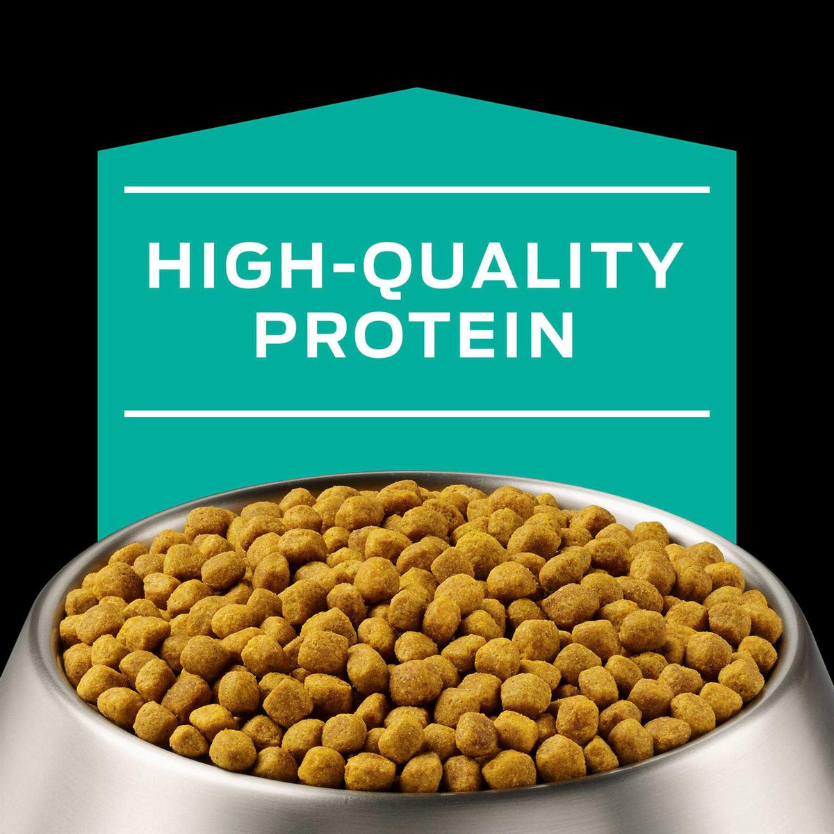 Gastroenteric Formula Dry Dog Food Q447