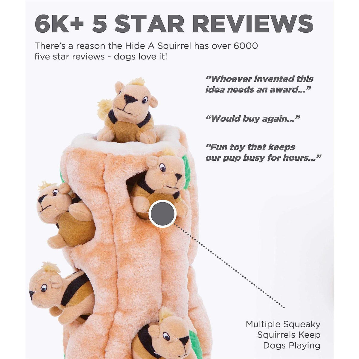 Hide A Squirrel Dog Toy V60633