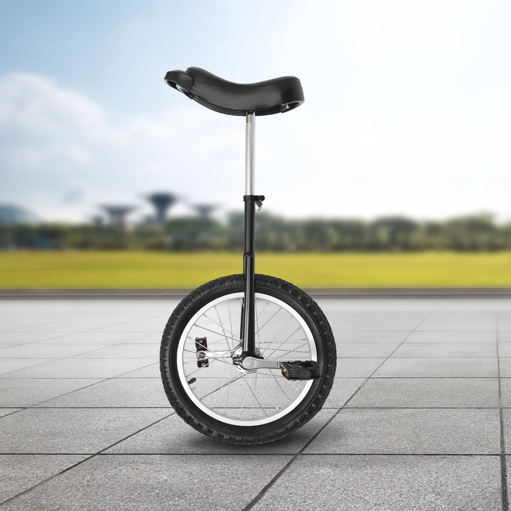 16 Wheel Adjustable Unicycle N4891