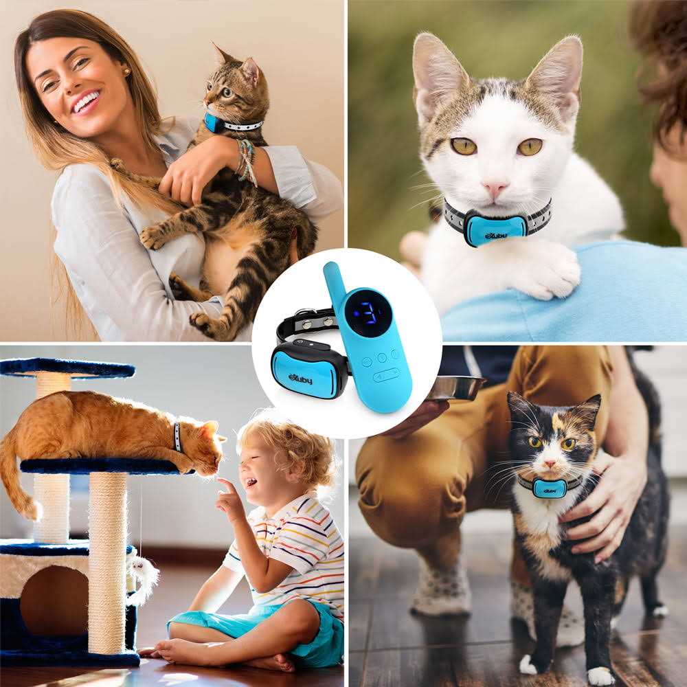 Small Cat Shock Collar with Remote N239569
