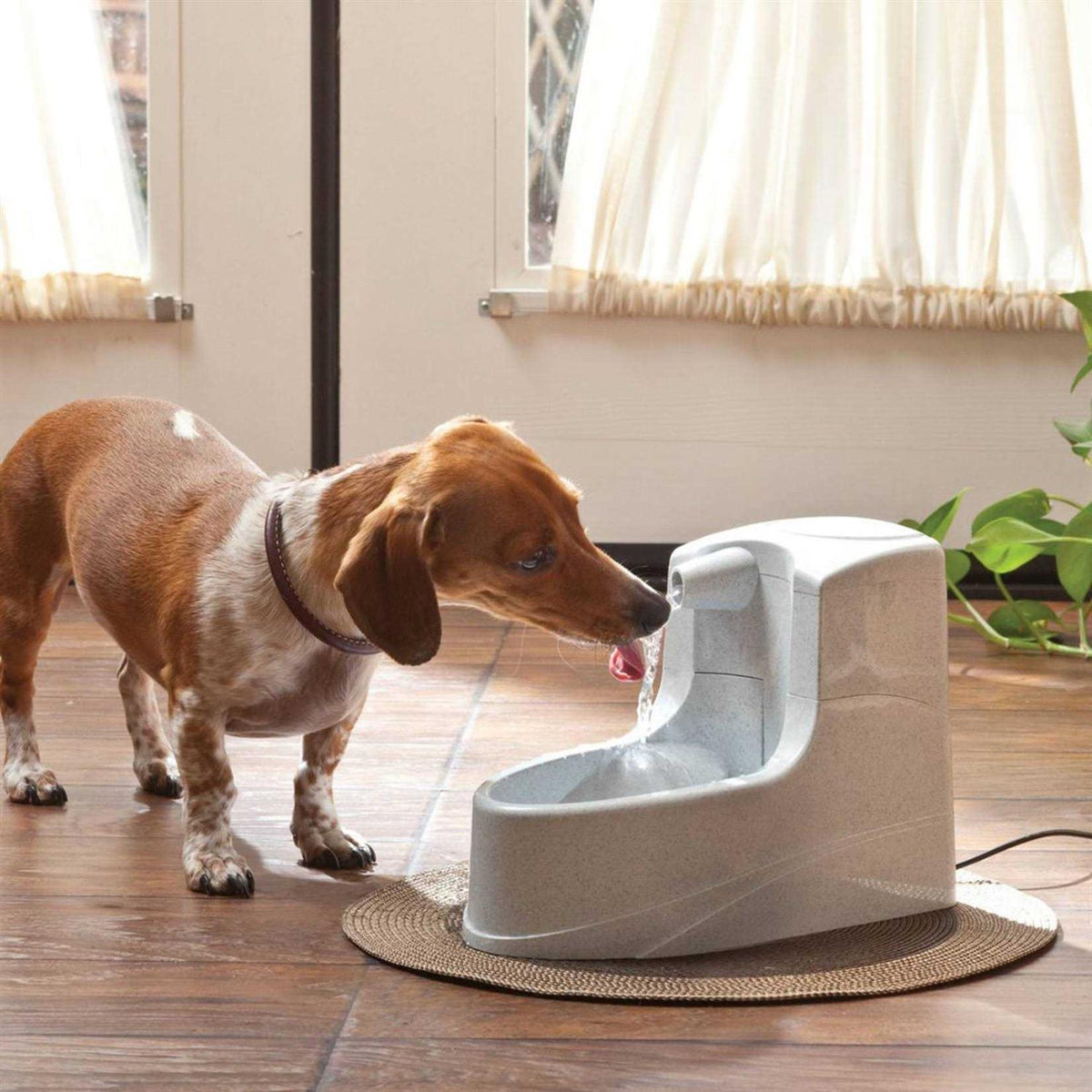1.2L Pet Fountain W109006