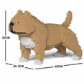 Fawn Medium American Bully Q978042