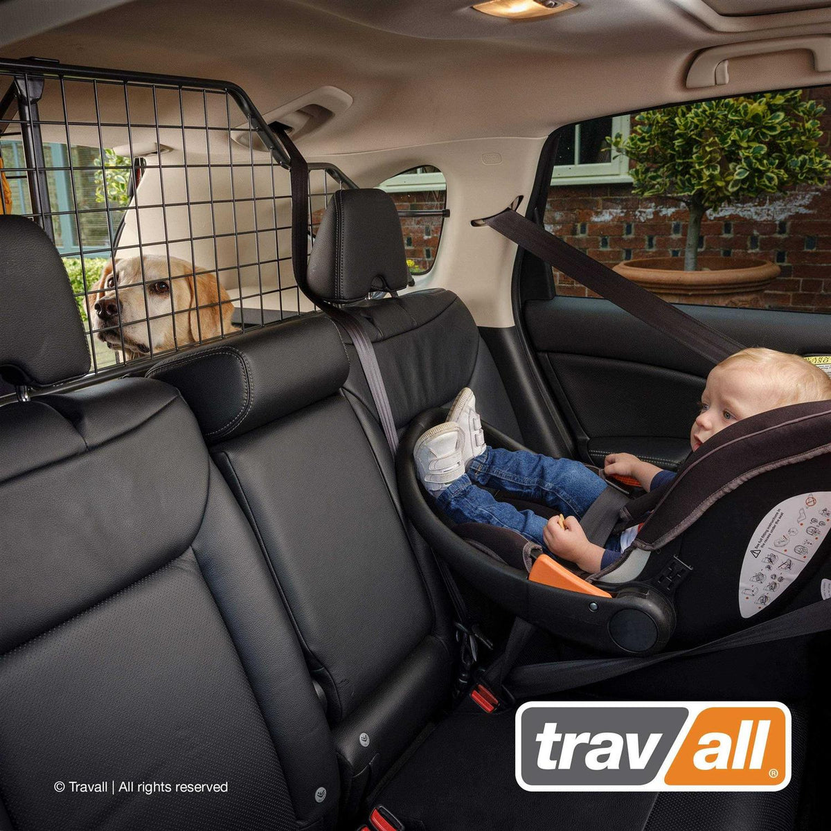 Pet/Cargo Barrier O29090