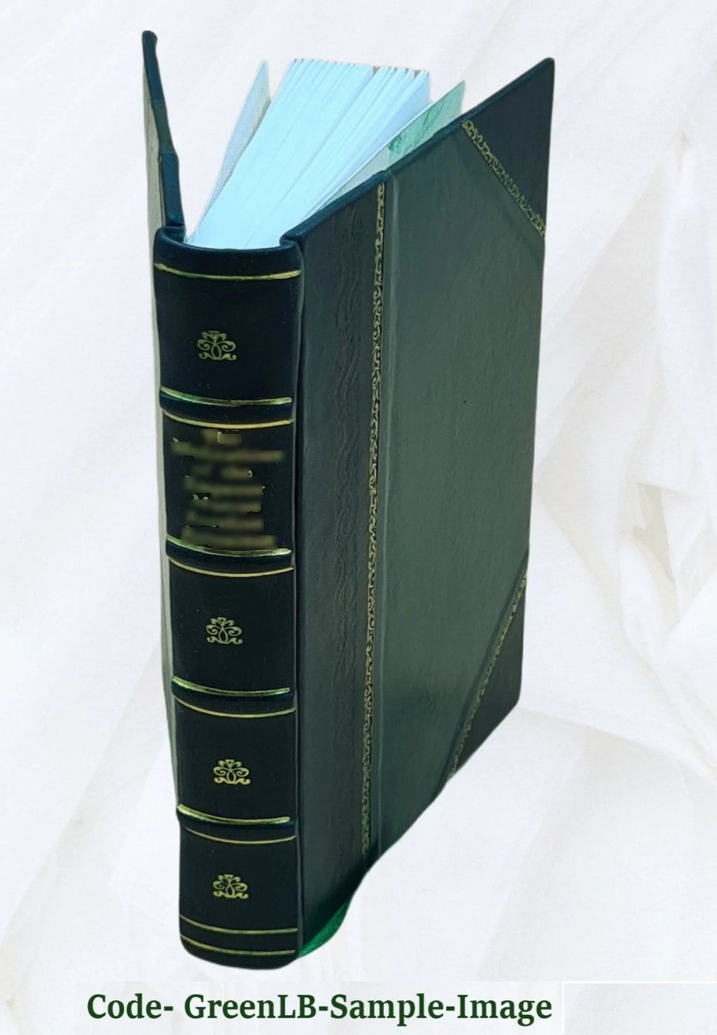 Leather Bound Book Z150