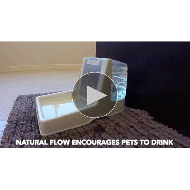 Pet Fountain X899767