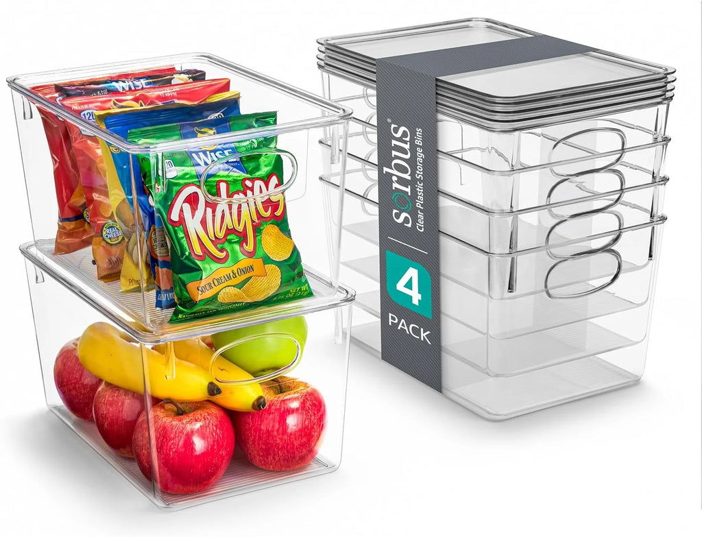 Set of 4 Clear Plastic Storage Bins with Lids X3359