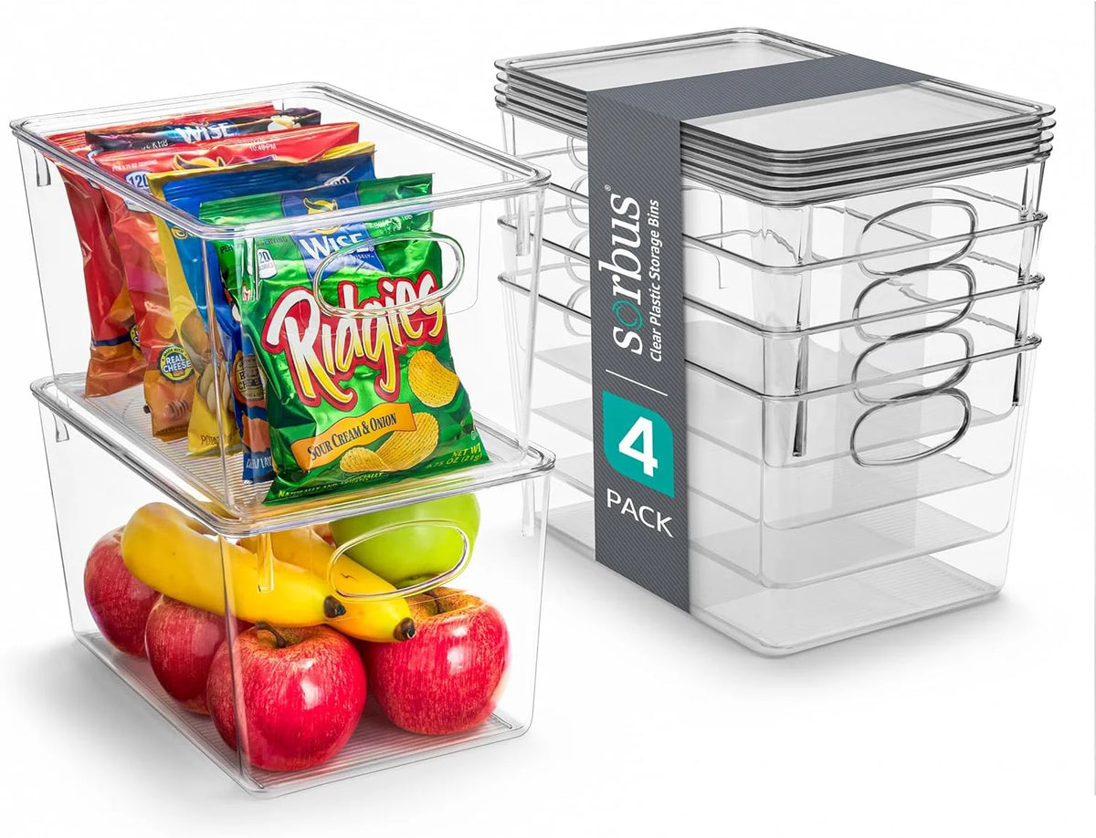 Set of 4 Clear Plastic Storage Bins with Lids X3359