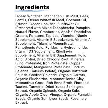 Grain Free RawMix Wild Ocean Dry Cat Food V294980